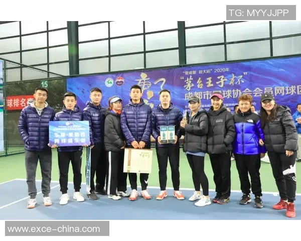 南京网球队个人能力排名创新高引发广泛关注与讨论